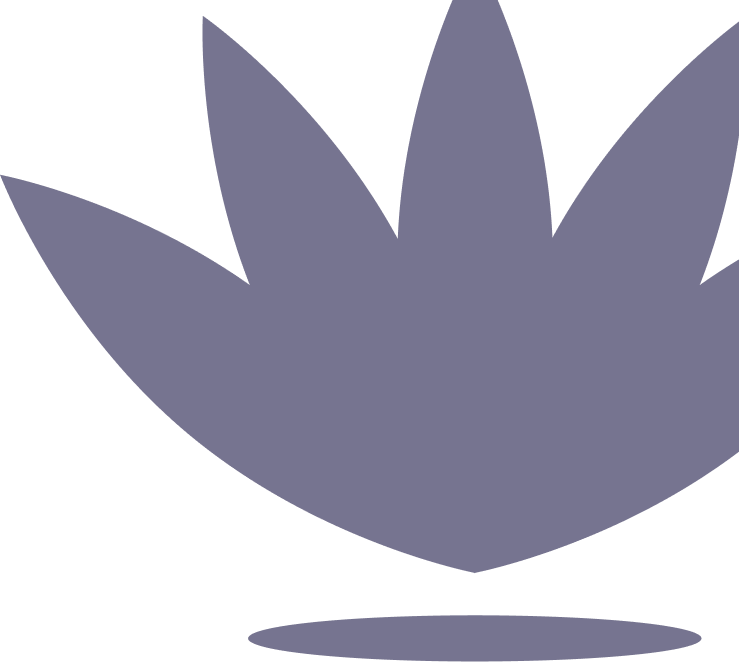 Sanctuary | Easy ways to make your home a health-happy place