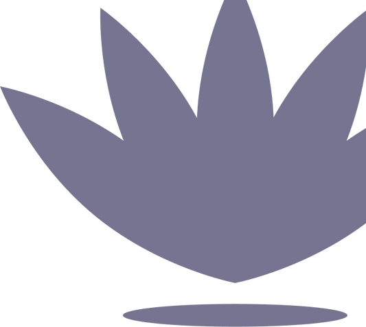 Sanctuary | Easy ways to make your home a health-happy place