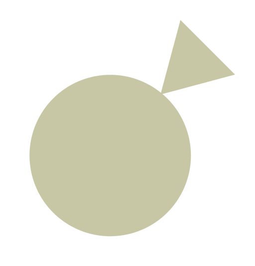 Finding your wellness circle