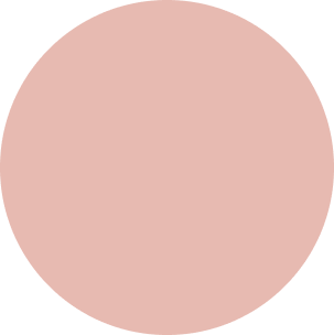 Red circle icon