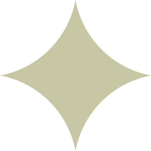 Green star icon